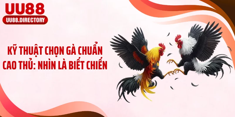 Kỹ Thuật Chọn Gà Chuẩn Cao Thủ: Nhìn Là Biết Chiến